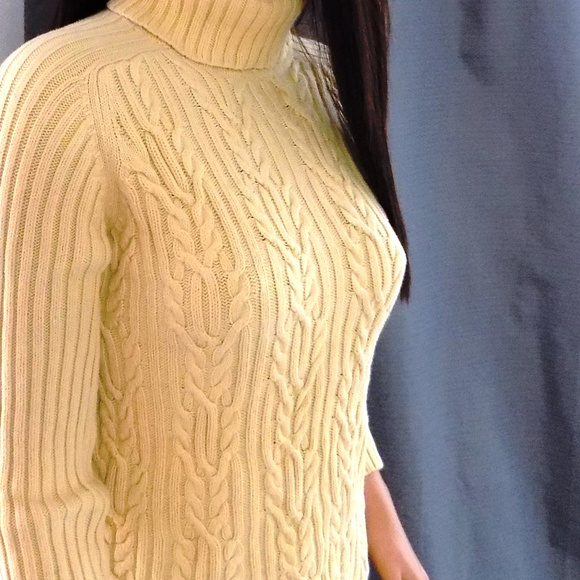 Karen Scott Sweater - Picture 4 of 5